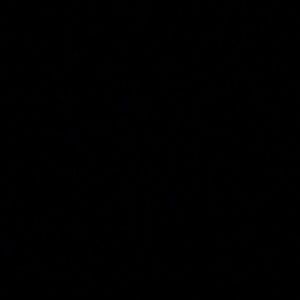 Meet your Posher, Isabella